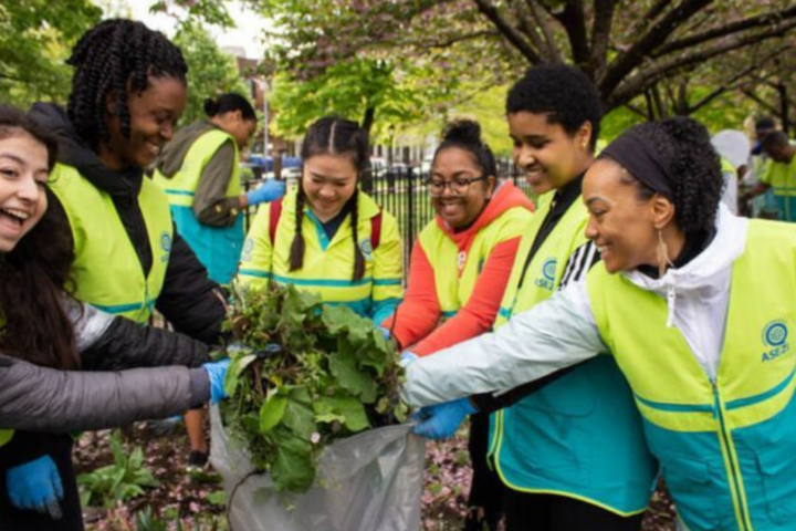 Green Promise