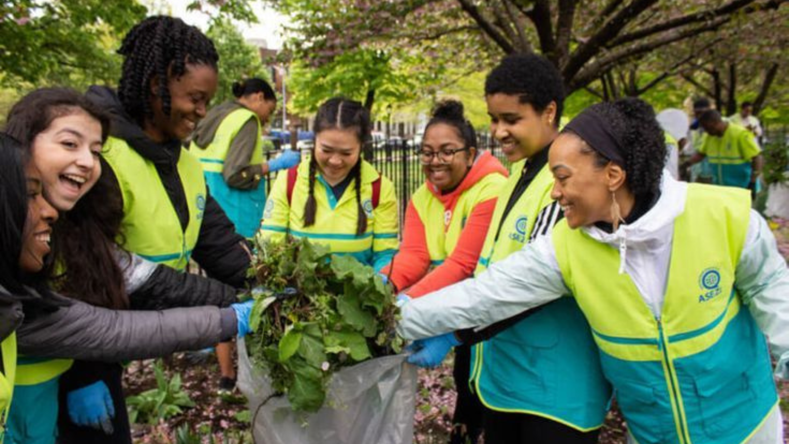 Green Promise