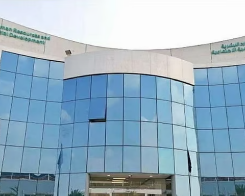 Saudi Arabia opens online route for private sector expats to move into domestic jobs