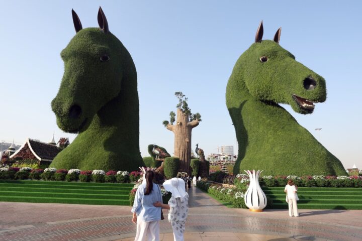 Dubai Miracle Garden Opens 15th Season With More Than 200 Million Flowers